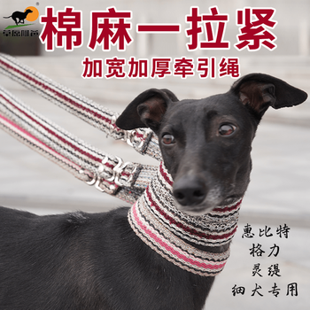 Factory direct sales greyhound greyhound thin dog hobbit collar hound greyhound one tighten collar thin dog leash 2 pieces