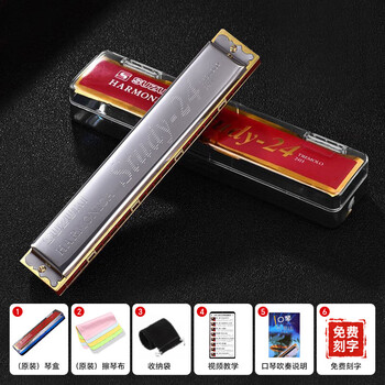 Suzuki japanese suzuki study 24-hole polyphonic harmonica professional playing beginner male, female, adult, student and child silver polyphonic + beginner gift pack c key commonly used tune - recommended for beginners