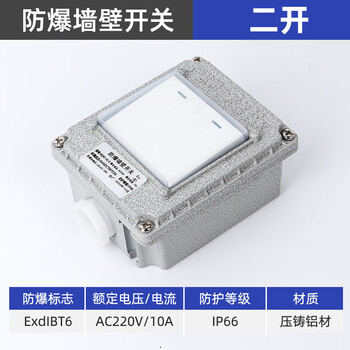Explosion-proof lighting switch 220v explosion-proof switch sw-10 thickened aluminum alloy waterproof and dustproof thickened transfer switch explosion-proof waterproof switch 10a double switch