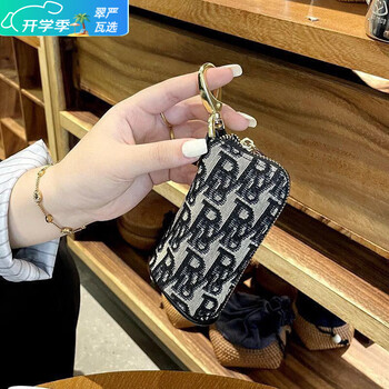 Ye yu key bag women's 2025 new portable internet celebrity canvas storage bag mini small bag multifunctional large capacity key bag internal and external upgraded anti-slip wear-resistant anti-theft brush black-r8