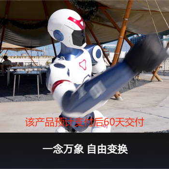 Bionic human intelligent robot butler service robot bionic human intelligent electronic human customized professional edition a