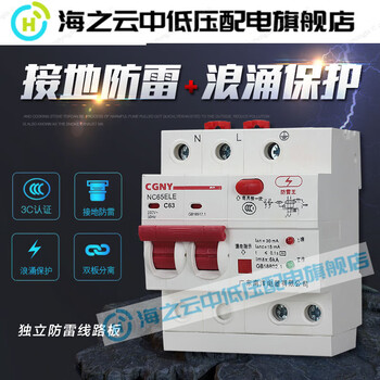 Guangdong nanyang leakage protector household main switch 63a 2p