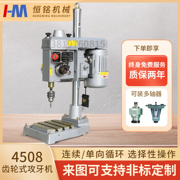 Tapping machine fully automatic tapping machine vertical automatic gear tapping machine chuck work table with multi-axis device 4508 vertical complete machine