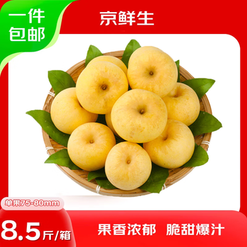 Jingxiansheng shandong venus apple 8.5kg, single fruit 75-80mm, shipped directly from the source, free shipping