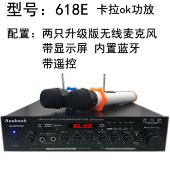 Budi 220v/12v power amplifier household high-power karaoke wireless microphone amplifier and microphone all-in-one machine 618e-600w bluetooth dual v segment wireless microphone 220v