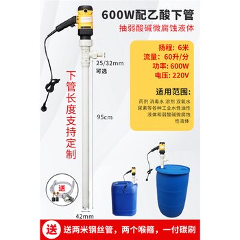 Stainless steel chemical pump, acid and alkali pump, ptfe material anti-corrosion pump, portable electric oil pump, 600w with acetic acid lower pipe, pumping weak acid and alkali liquids, mainly based on power classification