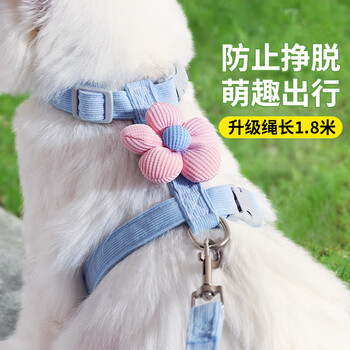 Hanhan paradise cat rope cat traction rope collar anti-escape cat rope chain rabbit pet harness collar blue s
