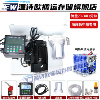 Wenshiou vehicle-mounted ton barrel tanker 12v24v220v large flow meter electric oil pump diesel fully automatic assembly 220v ton barrel (explosion-proof methanol only) 30l set 550w