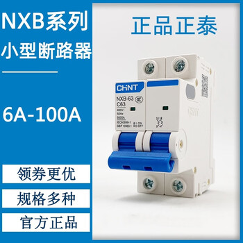 Chint dz47 new household small circuit breaker air switch 2p16a32a25a63a40a nxb-63 63a 2p