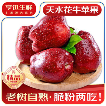 Hengxun gansu tianshui huaniu apple fruit noodle snake fruit domestic red fruit fresh seasonal fruit fresh mid-autumn festival and national day 5 pounds of old tree fruit (single fruit 71-75mm) net 4.5 pounds