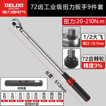 Delixi electric torque wrench high-precision preset torque wrench adjustable auto repair wrench 72 teeth dafei 9-piece set 20-210