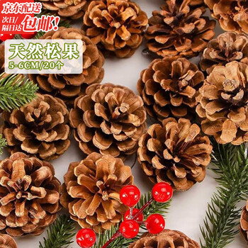 Jingji pine cone pine cone decoration material package diy handmade ornaments kindergarten natural handmade ring-created tree branch pendant natural pine cone small size 1-2cm 20 pcs