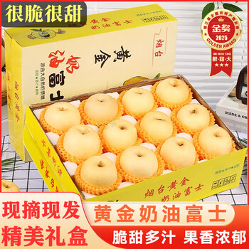 Yi jingyuan shandong golden cream fuji apple large fruit fresh fruit seasonal crisp sweet rock sugar cream apple whole box 5 jin medium large fruit affordable pack 75-80mm freshly picked from the source straight hair