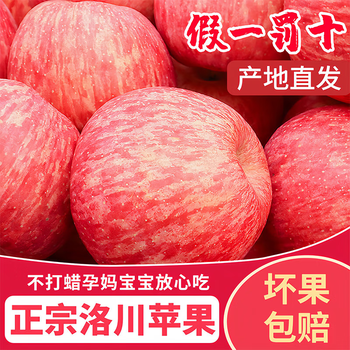 Luochuan apple, shaanxi yan'an luochuan red fuji apple, 25-year new fruit, seasonal apple fruit gift box, direct delivery from the origin, selected large fruits, net weight 8.5 catties (single fruit 200g+), about 17-21 pieces
