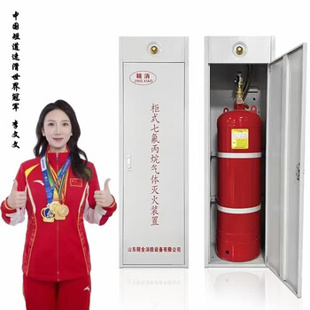 Cabinet type heptafluoropropane fire extinguisher hanging gas fire extinguishing device agent filling and testing machine room gqq150_2.5 single cabinet heptafluoropropane <does not include agent>