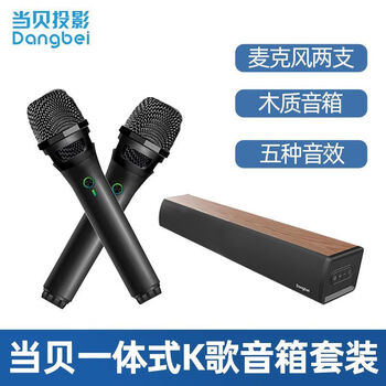 Dangbei audio home ktv microphone audio set wireless microphone living room k song artifact tv k song wanyin audio + microphone*2/black