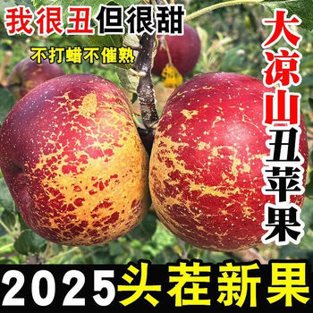 Yujian orange authentic daliangshan yanyuan chou apple seasonal fresh fruit 2025 fresh fruit net weight 2.5 jin 8-12 small and medium fruits