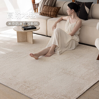 Budis wilton woven carpet living room high-end light luxury style bedroom bedside sofa waterproof anti-fouling easy care coffee table mat minai 07 200*290cm