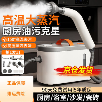 Truex small high-temperature steam cleaner household handheld kitchen fume and oil stain cleaning machine high-temperature steam dissolving high-temperature steam dissolving one-machine multi-purpose handheld steam cleaning machine