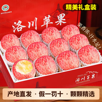 Luochuan apple, shaanxi yan'an luochuan red fuji apple, 25-year new fruit, seasonal apple fruit gift box, direct delivery from the origin, 12 large fruit gift box (single fruit 200g+)