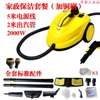 Jingli high temperature and high pressure steam cleaning machine household disinfection machine car film removal formaldehyde fumigation cleaning machine housekeeping yellow new model + copper brush