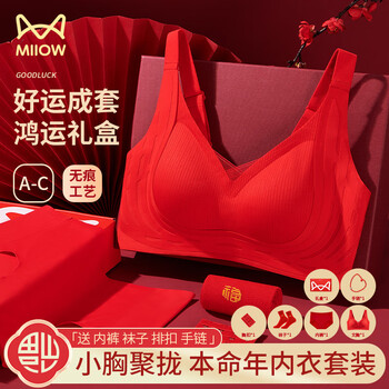 Cat, man, horse, zodiac year, women's underwear set, red small breast push up, wedding festive bra, underwear, socks gift box