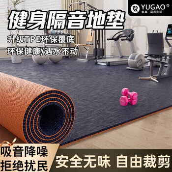 South sandwich high-end quality treadmill shock-absorbing mat gym soundproof shock-absorbing carpet treadmill commercial bedroom room full tile gray tpe single stripe 6mm 100*180cm