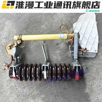 Outdoor high-voltage drop-out fuse rw1010100a200a ring switch fuse rw10-10f/100a/200a three price