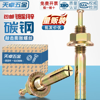 Tianzhuo hardware national standard high-strength expansion bolt core expansion screw hammer nail gecko one nail m6m8m10m12m16m20 m8*100-5