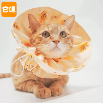 Rsrddy tali cat and dog pet elizabeth circle cute orange original lucky cat adjustable anti-scratch skin beige suitable for cats 5 jin-20 jin