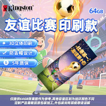 Kingston official genuine car disk large capacity girl disk mobile high-speed car mobile phone computer su chao come on - the first friendship in the game and the fourteenth defense package one 256gb