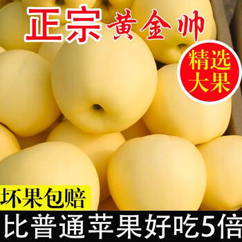 Guomudao gansu tianshui huang marshal apple yellow banana apple powder glutinous and sweet baby and elderly eat freshly picked fruit powder noodles sweet 85mm (inclusive)-90mm (exclusive) 10 jin