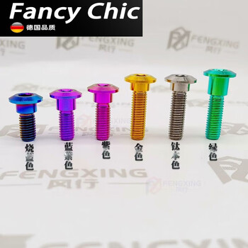 Ye yu titanium alloy screw m8x20/22/25/30/33/35/40mm electric friction disc brake disc hexagonal screw m8x20mm (1 piece) titanium color