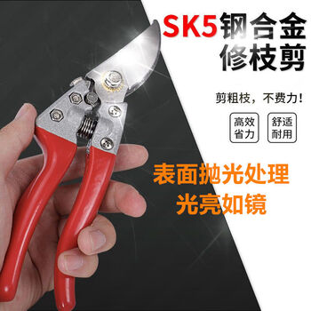 Hanoufei imported sk5 steel pruning shears, sharp and labor-saving scissors, branch pruning, gardening shears, fruit tree scissors, ordinary small scissors
