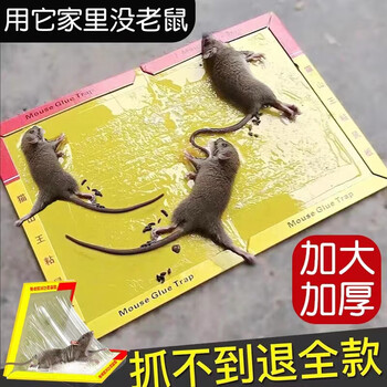 Super strong large rat sticker strong glue non-toxic invisible strong glue rat catching rat repellent rat killing home pack 5 sheets upgraded super strong adhesive force