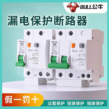 Bull 2p air switch with leakage protector main switch circuit breaker household 220v water heater 63a air switch leakage protection 100a_1p+n