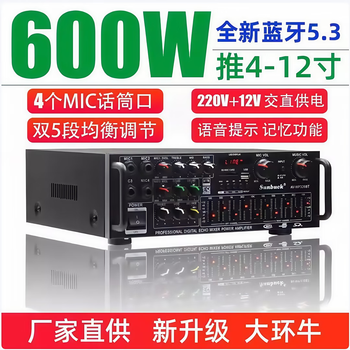 Shanyu sunbuck220v12v power amplifier home karaoke power amplifier high-power hifi remote control bluetooth eq equalization