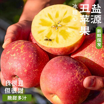 Jinbaisu authentic salt source apple sichuan daliangshan ugly apple rock candy heart apple red fuji fresh fruit net weight 5 jin large fruit 80-85mm rich fruity fragrance