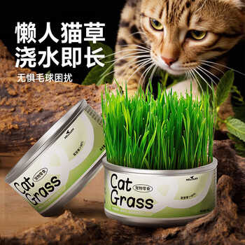 Hellojoy cat grass seed cultivation canned boxed cat grass canned lazy cat grass aids digestion and removes hair balls cat snacks 1 can