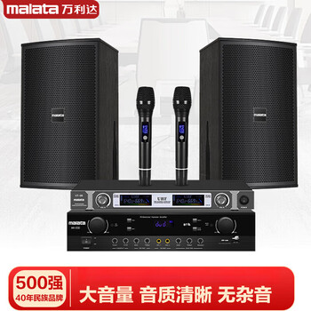 Malata audio set home ktv audio shop stage training room bluetooth amplifier microphone speaker + microphone ms-108 8-inch audio pair
