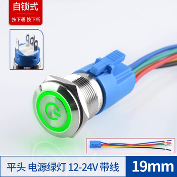 Zave metal button switch 19mm flat head power green light 12-24v with wire self-locking