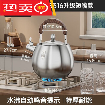 Fat donglai's same style bylan 316 stainless steel kettle open flame gas stove with thickened induction cooker whistle one-piece molded 4000l 4000ml long mouth