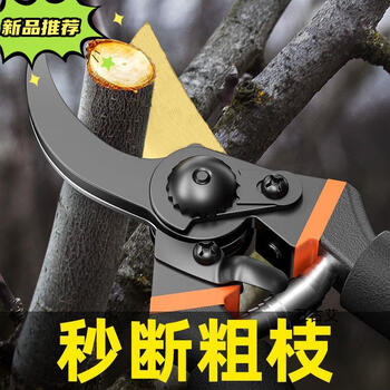 He jiagong germany imported strong pruning scissors branch pruning garden flower branch scissors gardening thick branch scissors pruning woodworking manufacturer promotion first loss a9999 single s