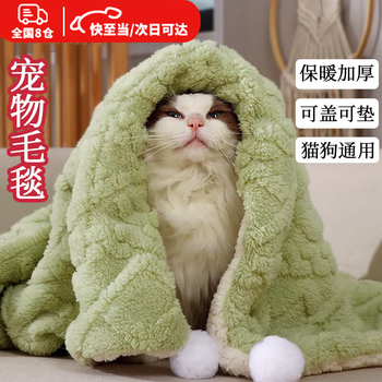 Pet small blanket kitten small blanket dog mat coral velvet quilt winter cat blanket warm silk floss quilt winter pet blanket (green double-sided velvet)