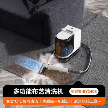 Youwang fabric cleaning machine carpet sofa steam curtain cleaning machine by2405