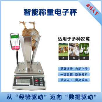 Bird crown world chicken weighing artifact smart electronic scale bluetooth connected chicken weighing scale special poultry weighing electronic scale special for chicken raising electronic scale + large + small (stabilizer)