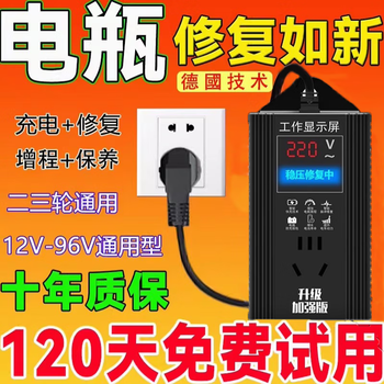 Ersan electric vehicle battery repair artifact 12-96v universal fully automatic pulse repair battery automatic power off winter and summer voltage stabilization protection + maintenance + repair