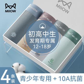 Catman youth pure cotton underwear men's 10a antibacterial developmental junior high school students children's boxer briefs boxer shorts