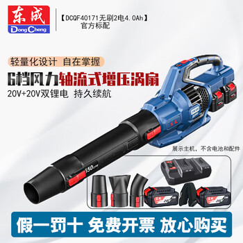Dongcheng 40171 powerful hair dryer storm gun lithium electric dust blower rechargeable blower industrial household snow blowing and dust removal dcqf40171 2 batteries 4.0ah official standard configuration