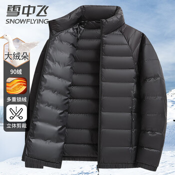 Flying in the snow 90 down lightweight down jacket autumn and winter warm stand-up collar casual simple down men's cold jacket 180